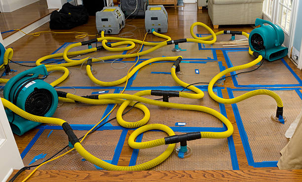 Professional Basement Flood Cleanup technician working in Preston, MN
